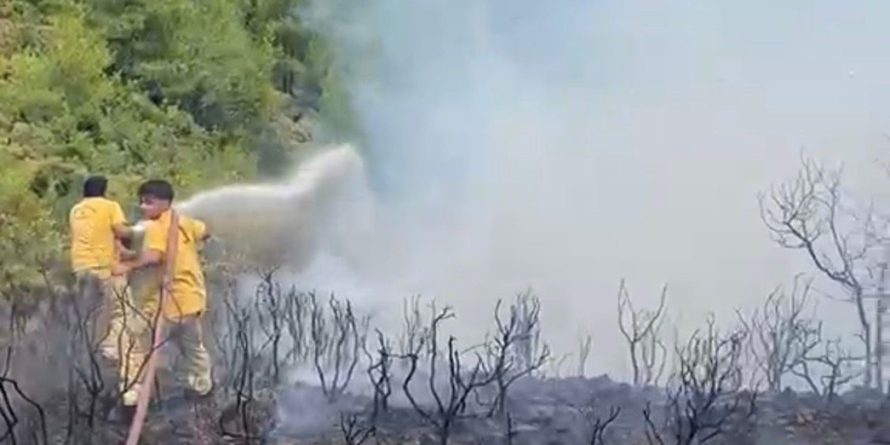 Muğla’da yıldırım kaynaklı 2 orman yangını