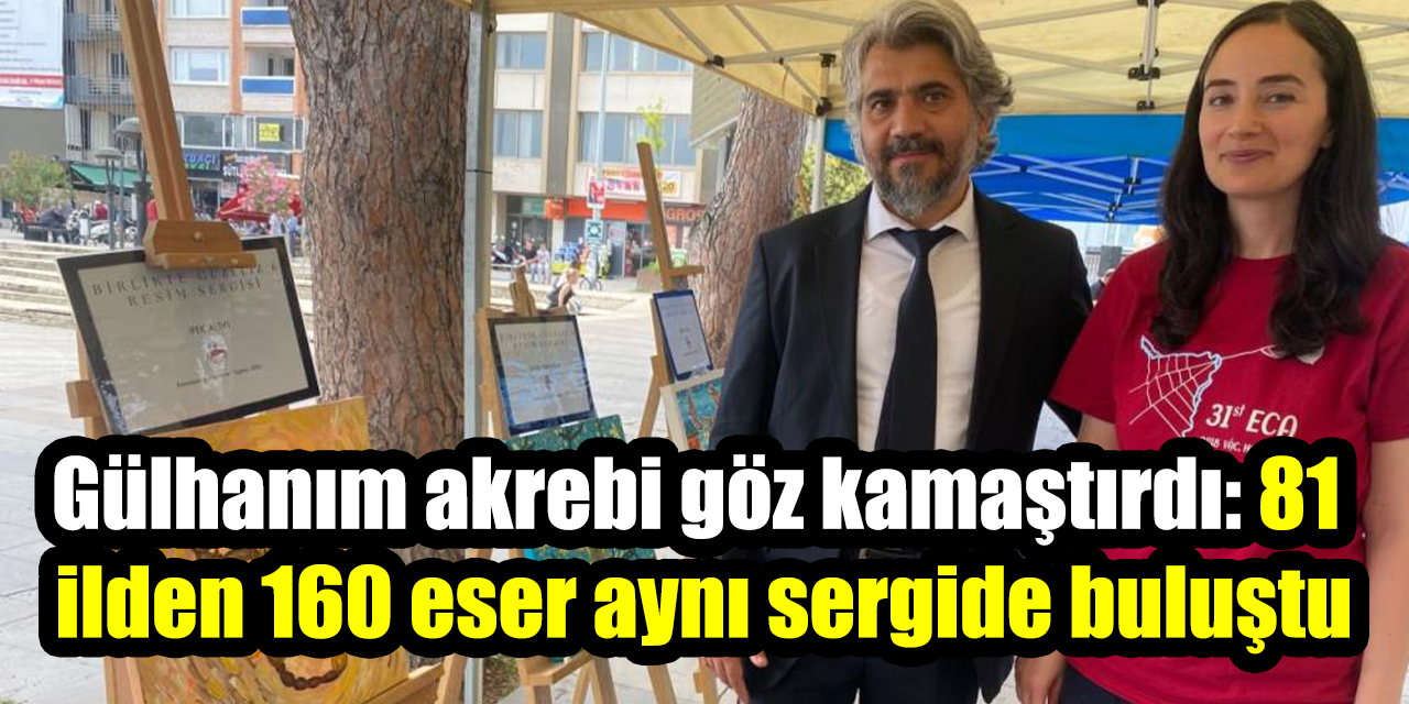 Gülhanım akrebi göz kamaştırdı: 81 ilden 160 eser aynı sergide buluştu
