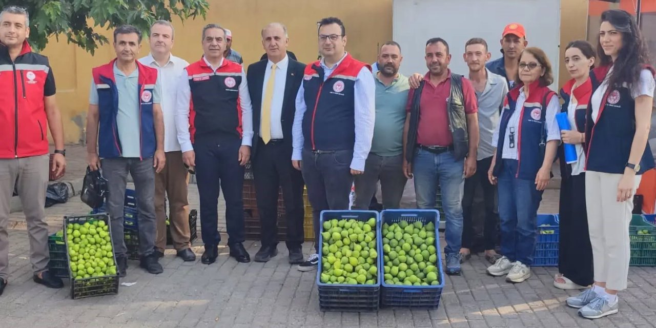 Aydın’ın dünya markası inciri için sahada yoğun mesai