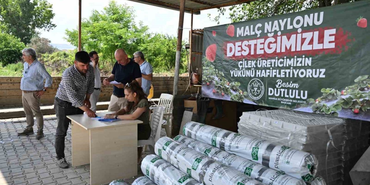Manisa Büyükşehir’den çilek üreticilerine malç naylonu desteği