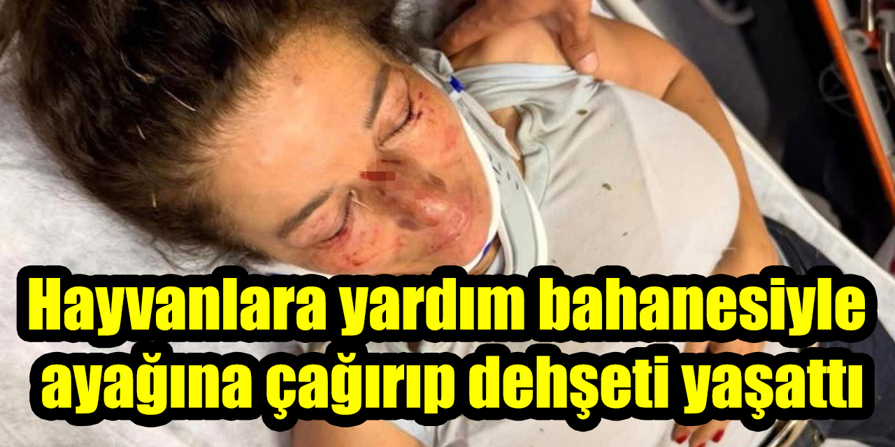 Hayvanlara yardım bahanesiyle ayağına çağırıp dehşeti yaşattı