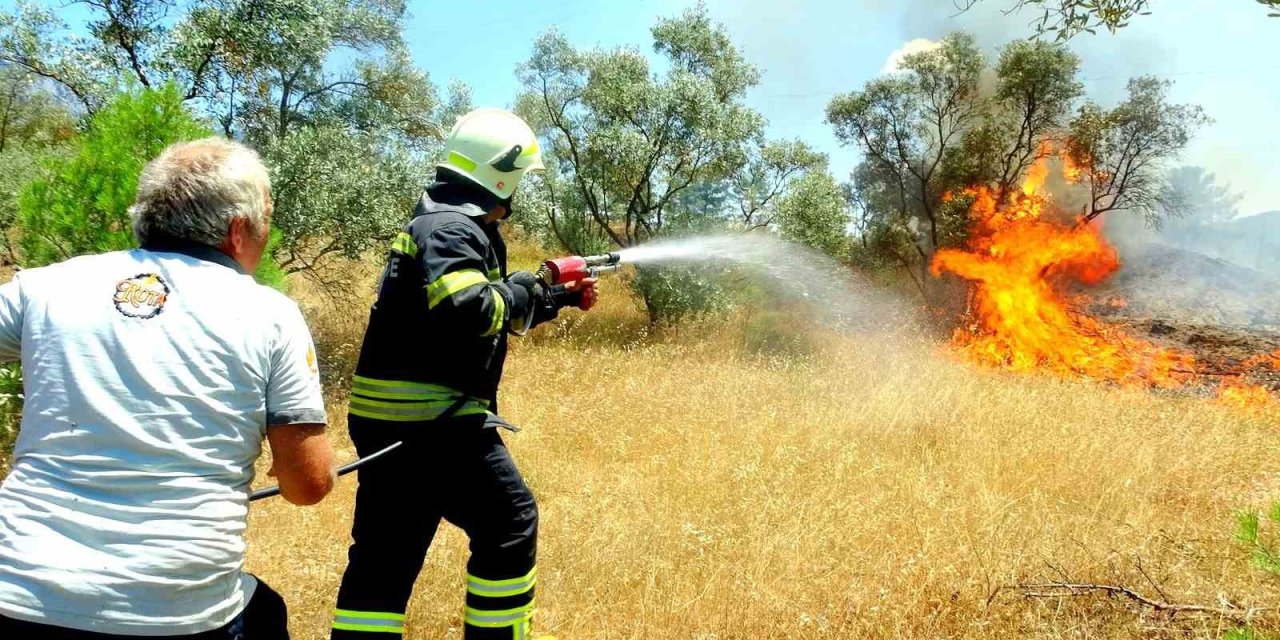 Menteşe’de zeytinlik yangını
