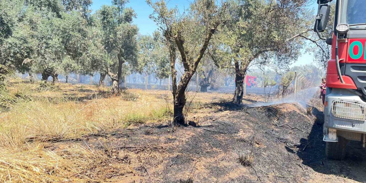Korkutan arazi yangını 1 saatte kontrol altına alındı