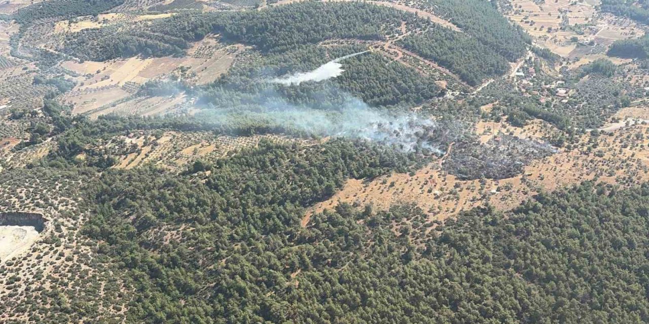 Milas’ta çıkan zirai yangın kısa sürede kontrol altına alındı