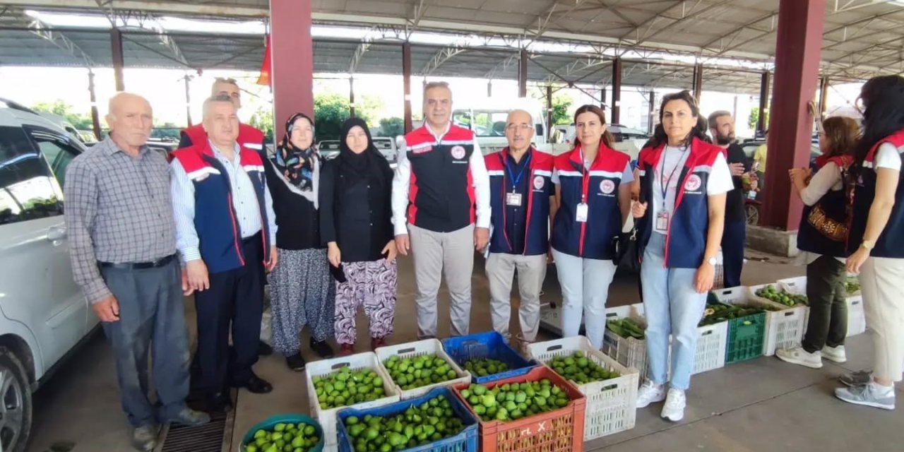Aydın inciri için denetimler sürüyor