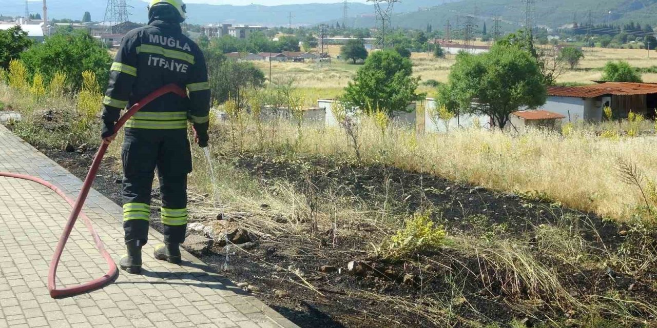 Menteşe’de  yol kenarına atılan sigara izmariti yangın çıkardı