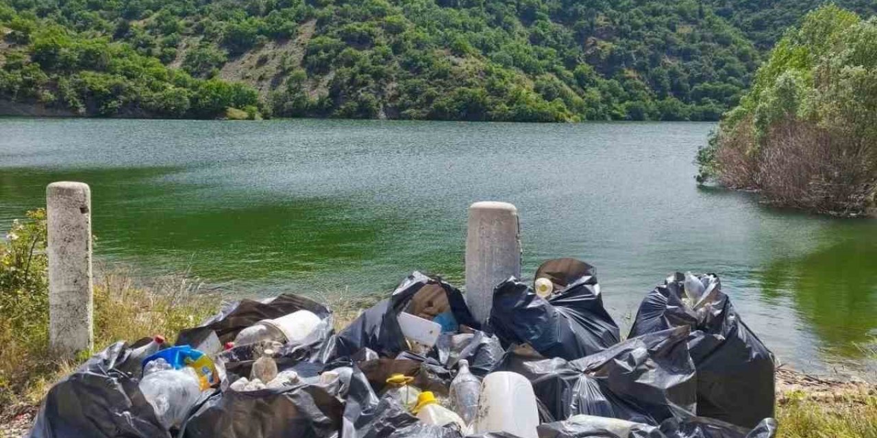 Göleti el birliğiyle temizlediler