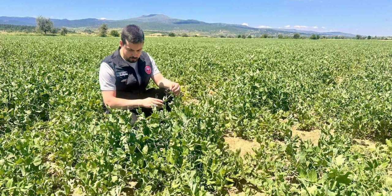 Planlı tarımsal üretim için saha çalışmaları sürüyor