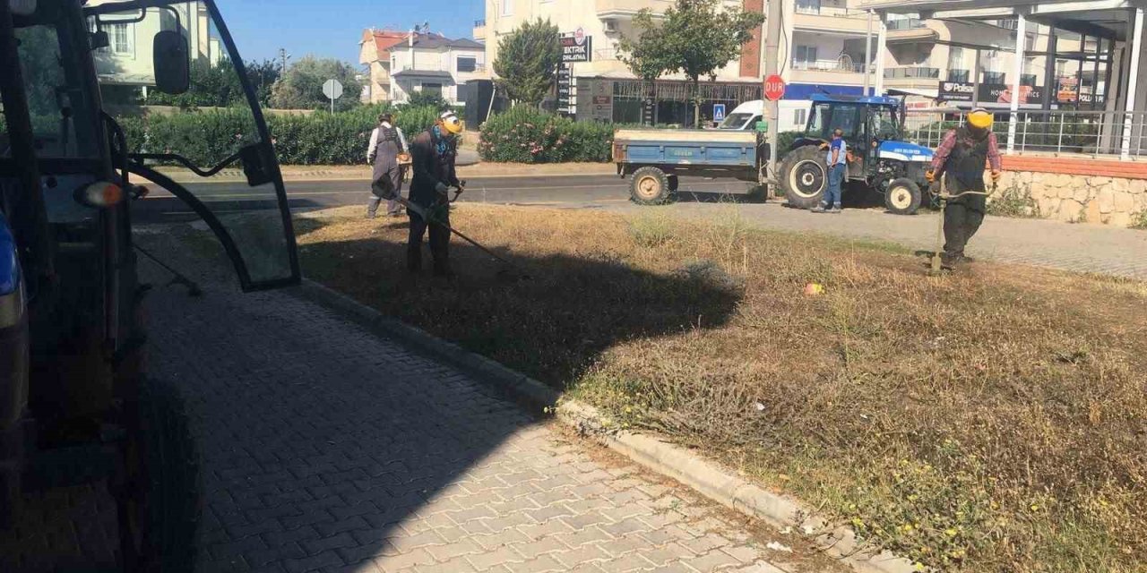 Didim Belediyesi yeşil alanlarda bakım çalışmalarını sürdürüyor