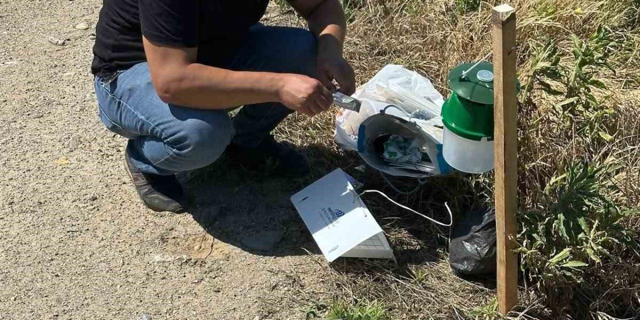 Köşk’te pamuk tarlalarına zararlı takibi için monitör tuzak kuruldu