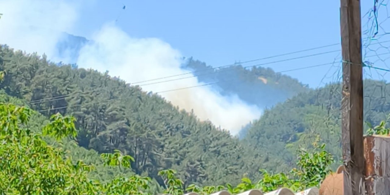 Soma’daki orman yangınına müdahale devam ediyor