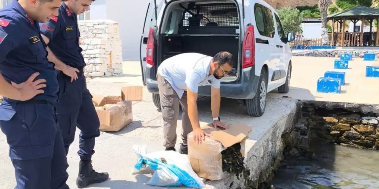 Söke’de kaçak su ürünleri nakline geçit verilmedi