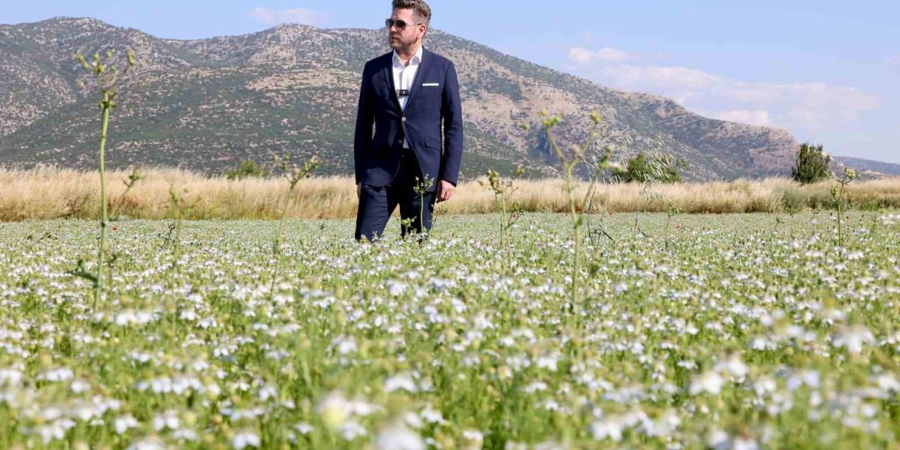 Tavas’ta karacaot ekiminde verimlilik testi yapılıyor