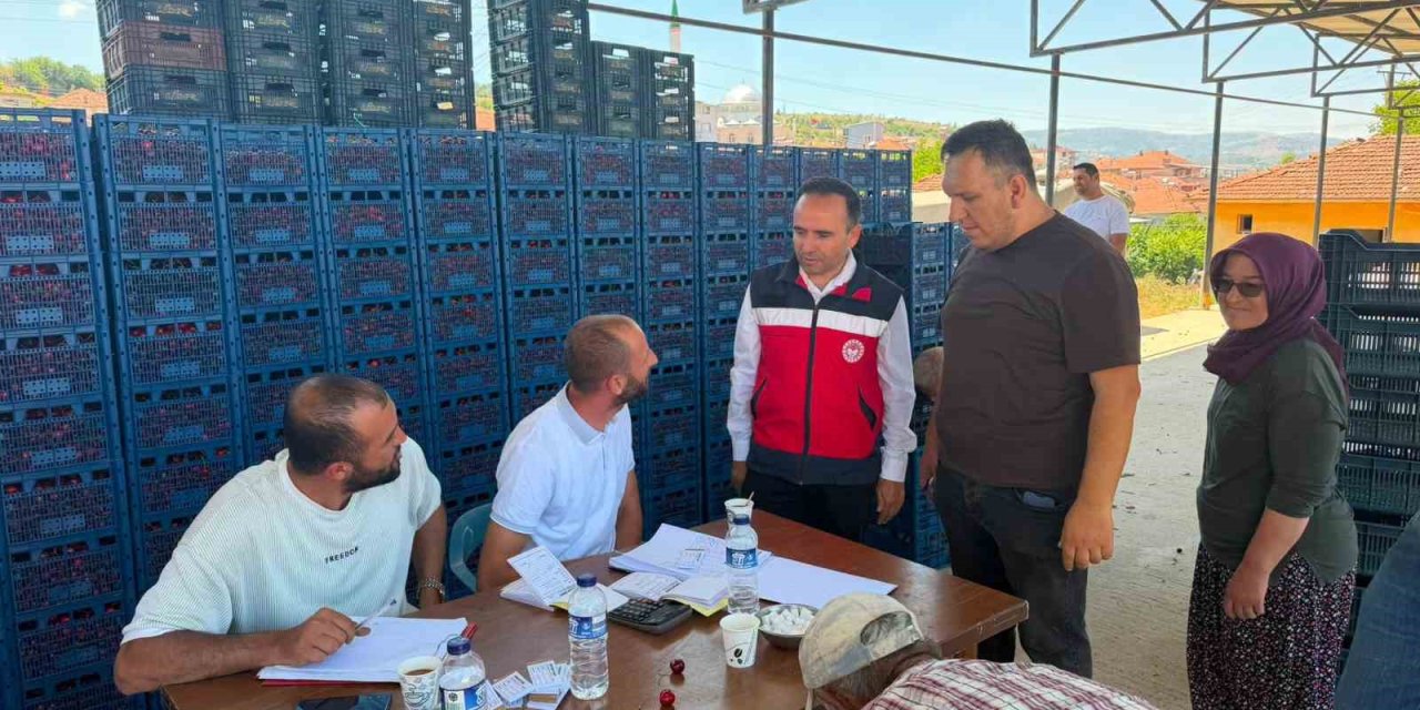 Simav İlçe Tarım ve Orman Müdürlüğünden kiraz alım merkezlerine ziyaret