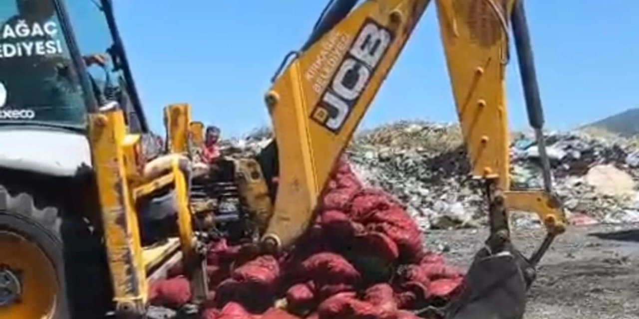 Manisa’da menşei belirsiz midyeler imha edildi