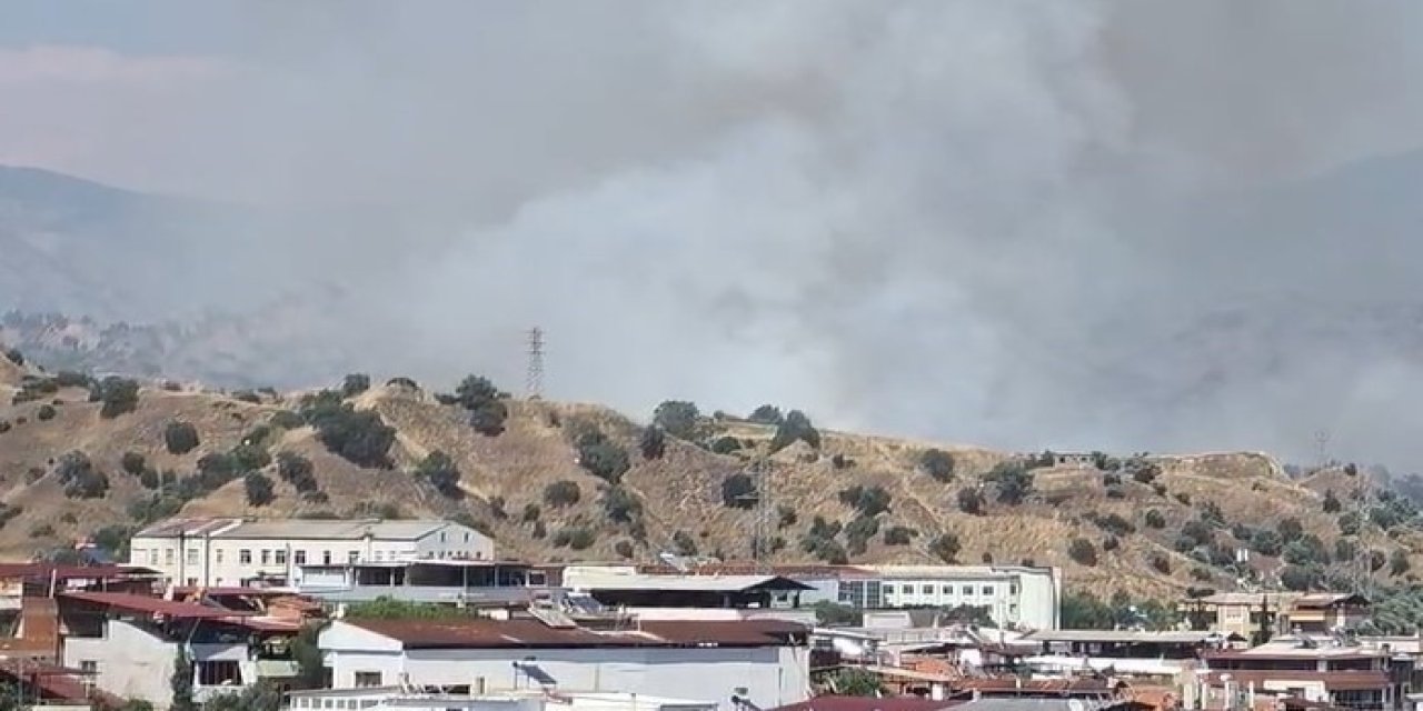 Nazilli’de zirai alan yangını