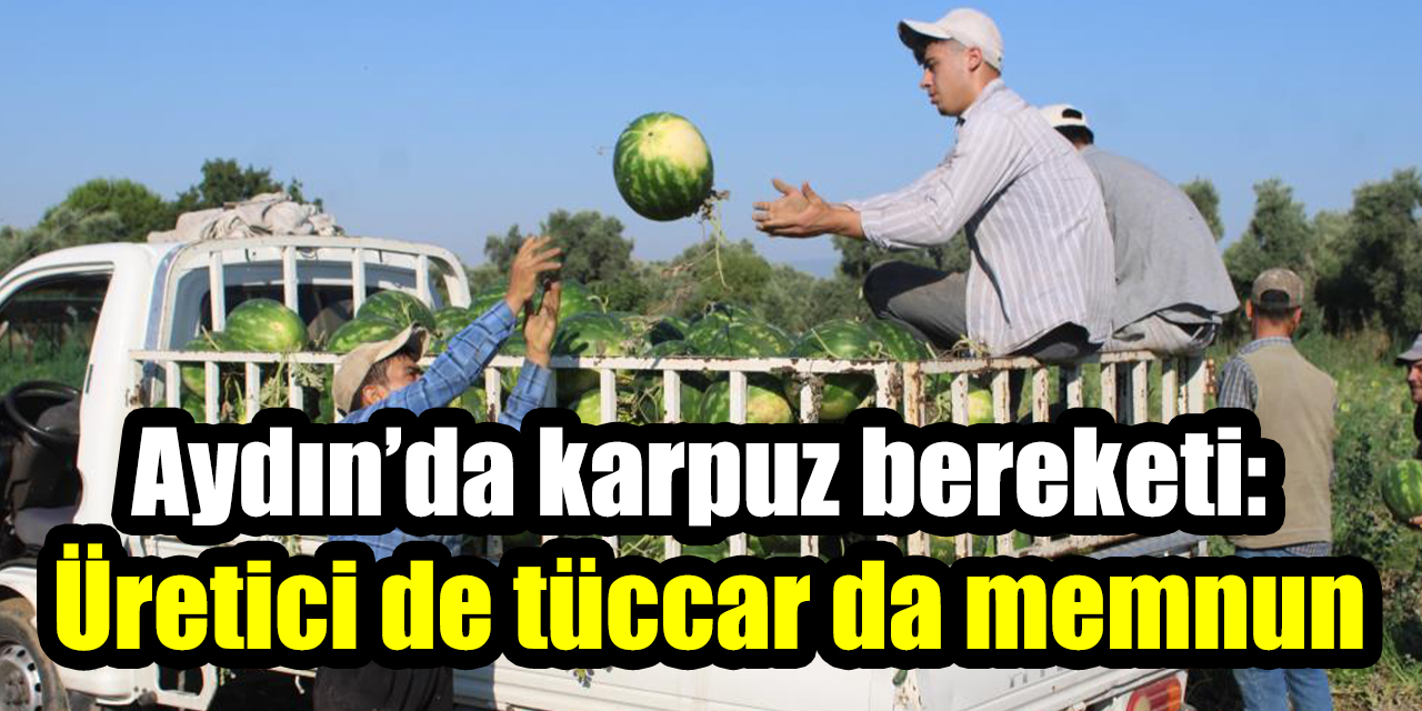 Aydın’da karpuz bereketi: Üretici de tüccar da memnun