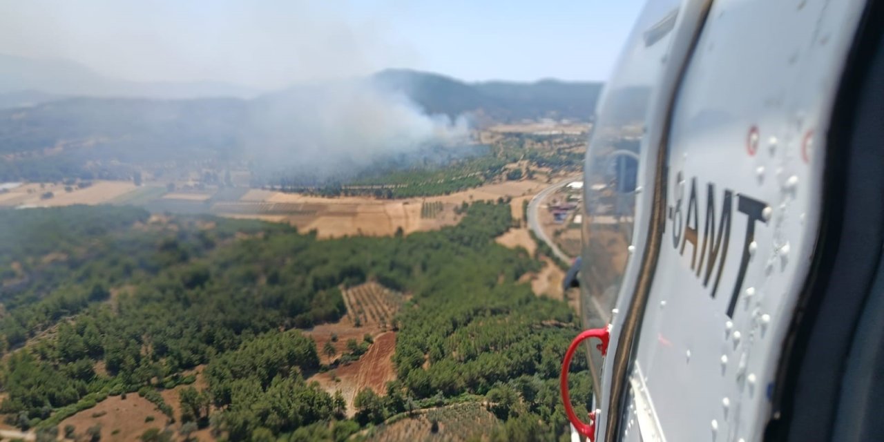 Seydikemer’de orman yangını