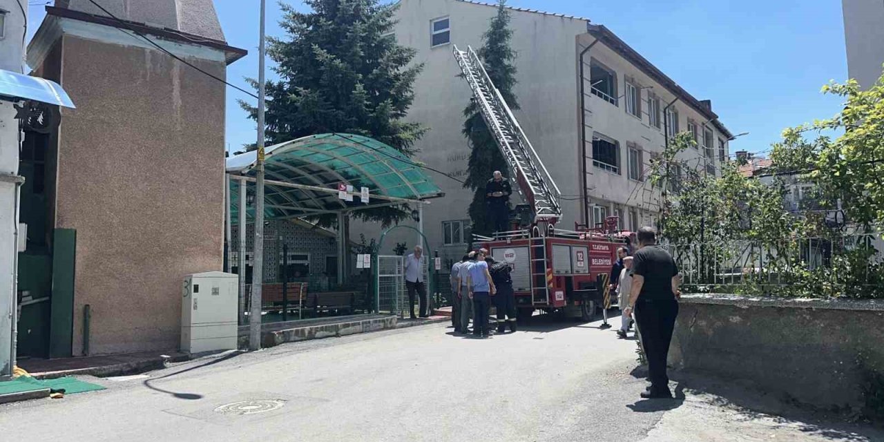 Kütahya’da ağaca takılan serçe itfaiye ekiplerince kurtarıldı