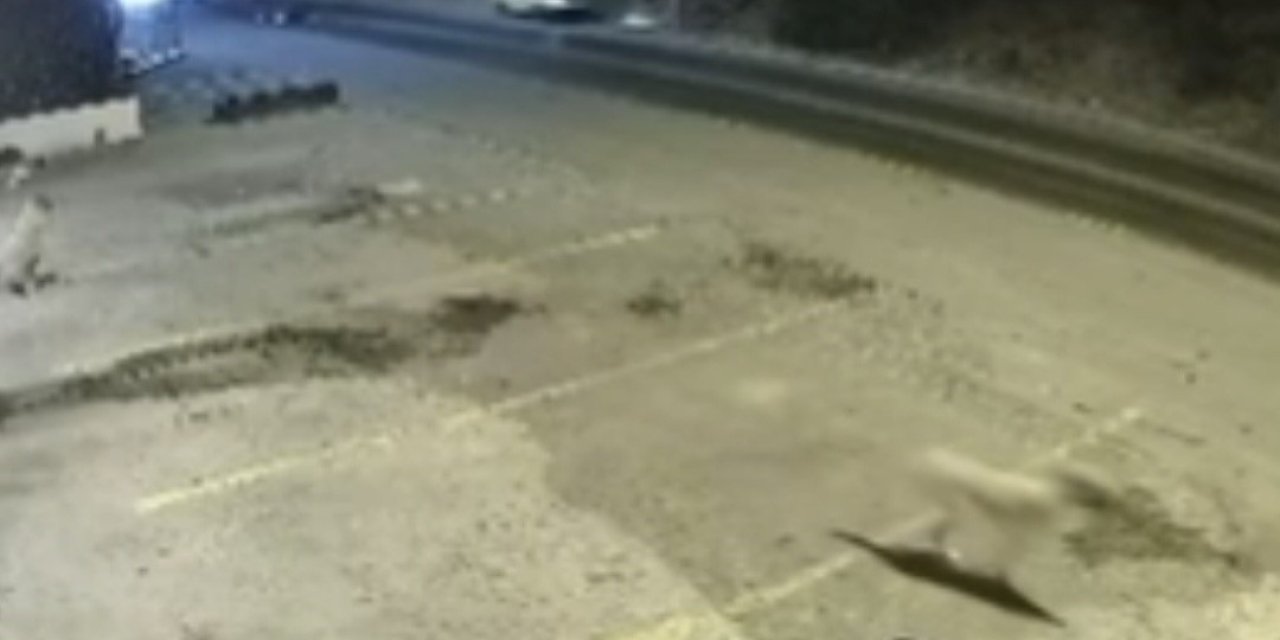 Bodrum’daki ölümlü kazanın güvenlik kamerası ortaya çıktı