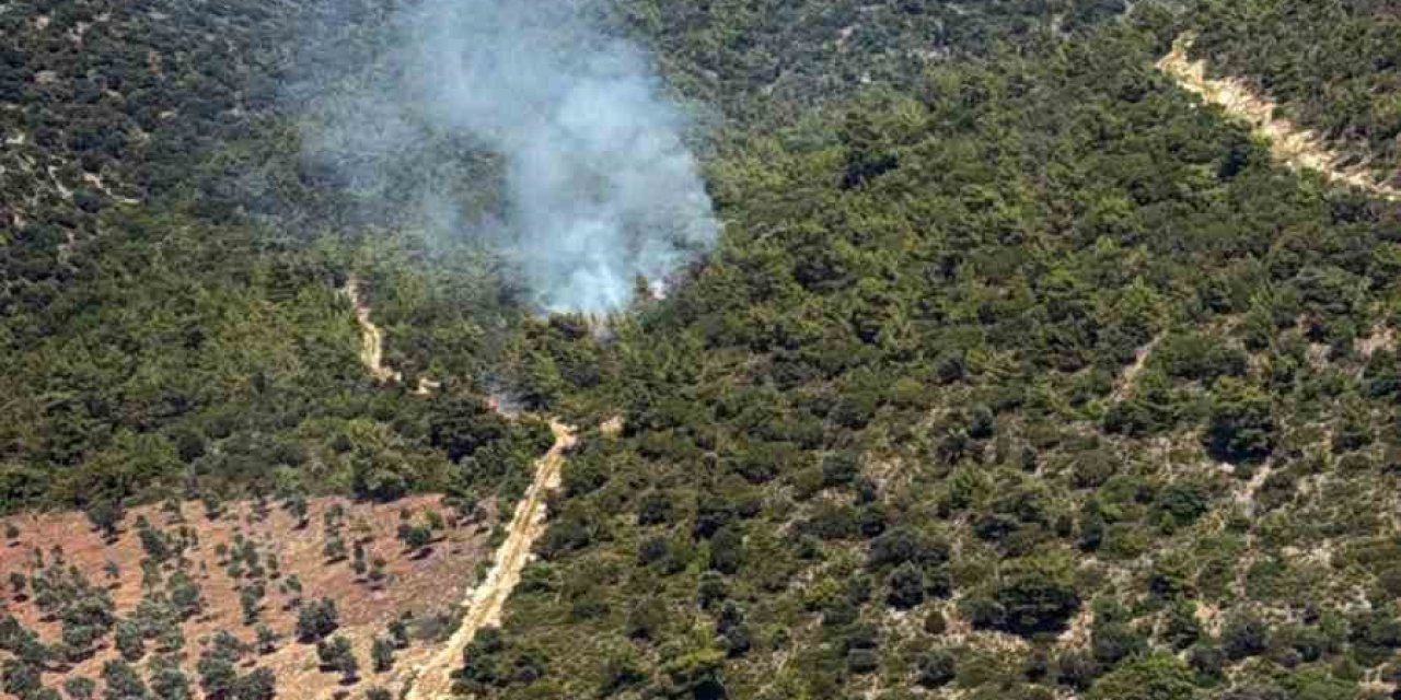 Milas Kazıklı Koyu’nda makilik alanda yangın çıktı