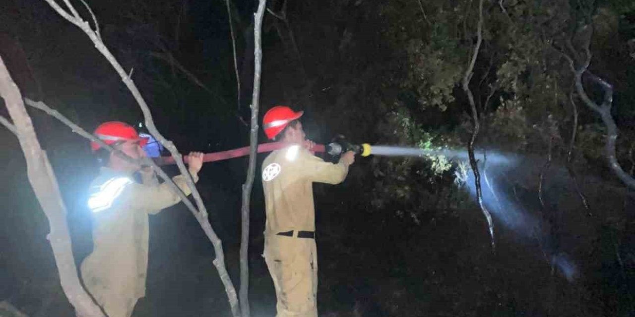 Ormanlık alandaki yangın büyümeden söndürüldü