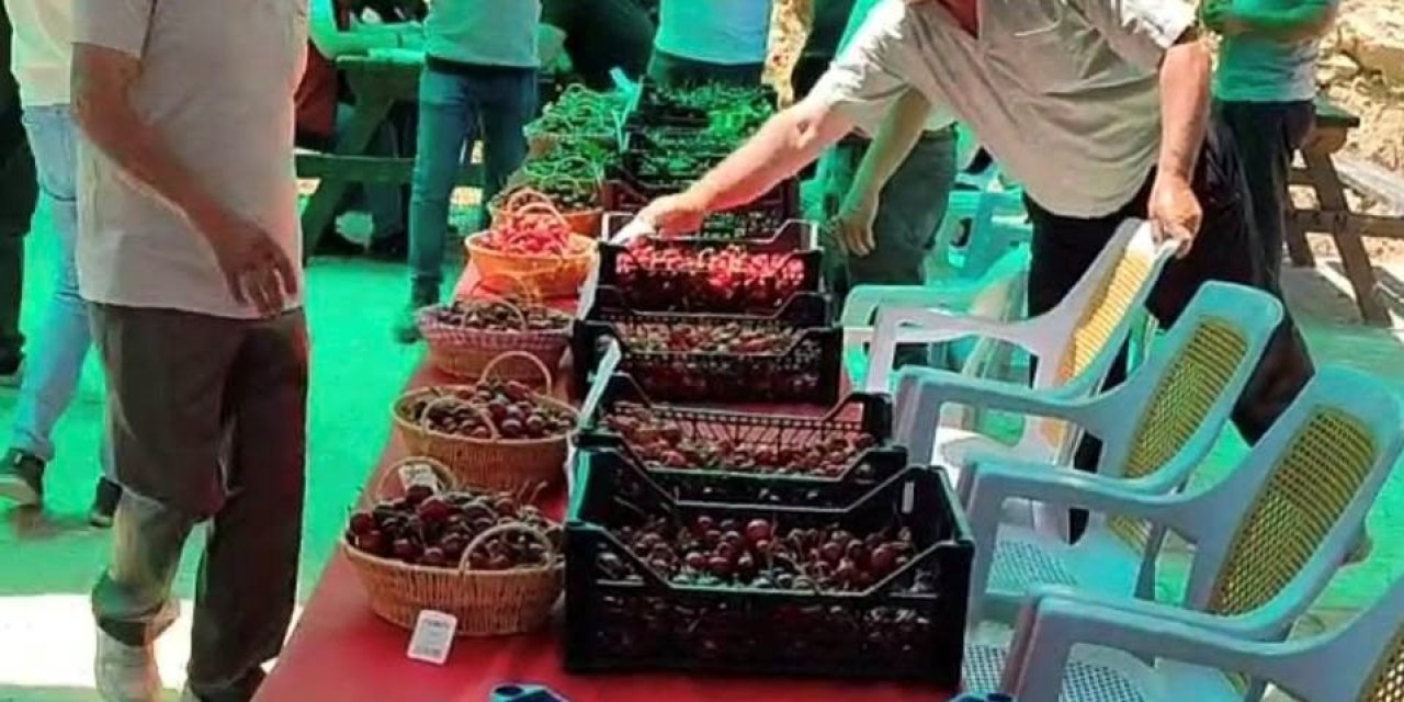 Hisarcık Kutlubeyler köyünde Kiraz Festivali coşkusu