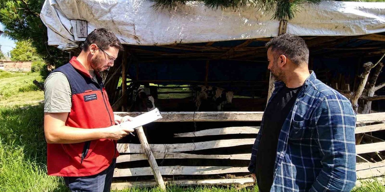 Buzağı kayıplarının önlenmesi için eğitim çalışması sürüyor