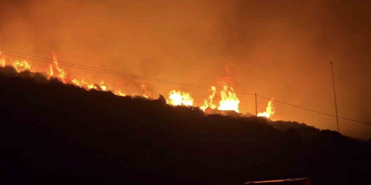 İzmir’de makilik alanda yangın