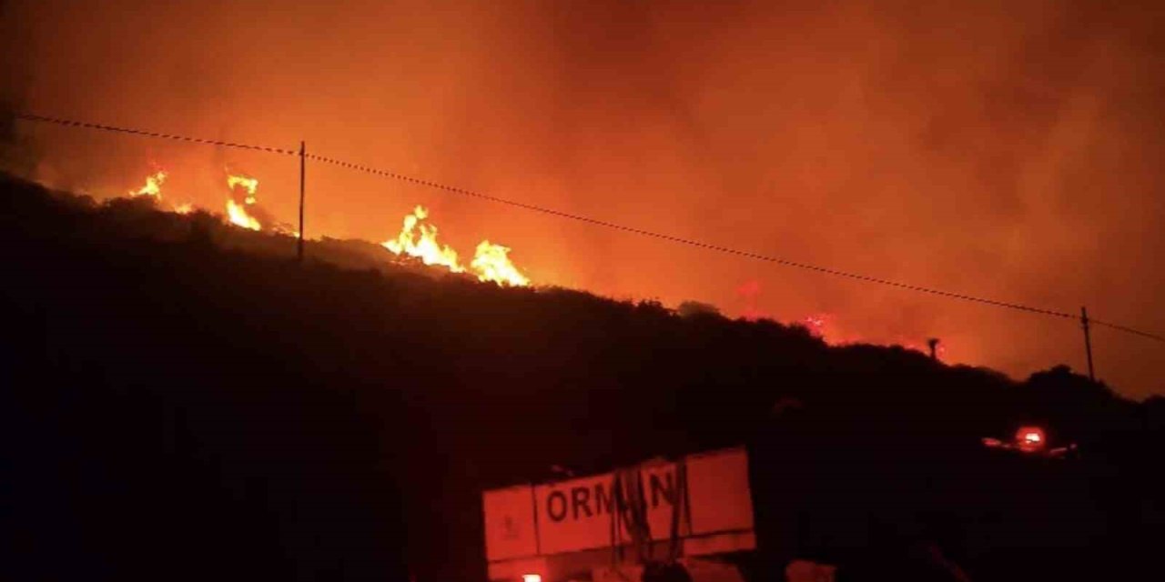 İzmir’de makilik alandaki yangın kontrol altında