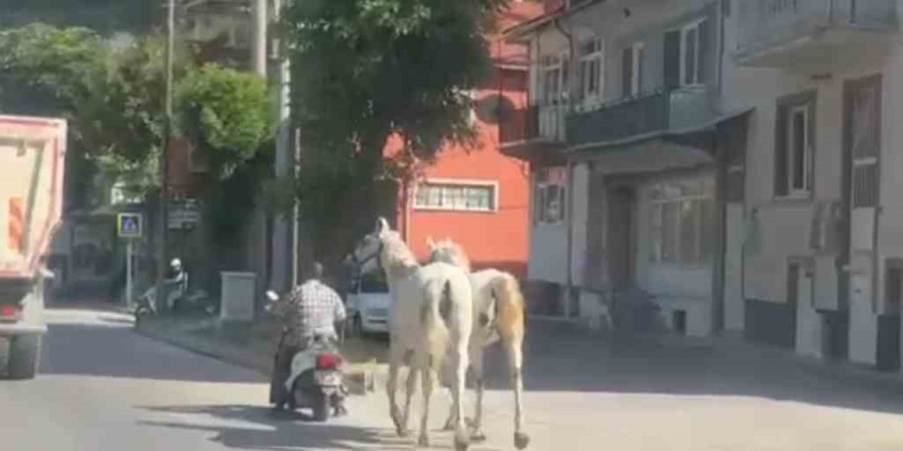 Kütahya’da atları motosikletine bağlayarak ilerleyen sürücü kameraya yansıdı