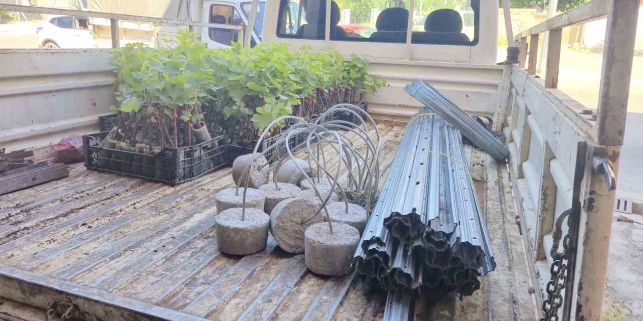 Dinar’da Bağcılık Projesi başladı