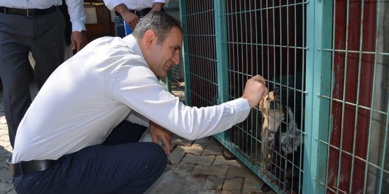 Bayındır’da hayvan bakım evi ve doğal yaşam alanında inceleme