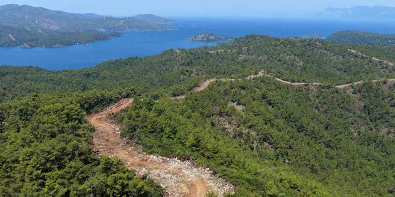 Muğla ve Aydın’da Orman yangın şerit yolu uzunluğu 2 bin kilometreye çıkıyor