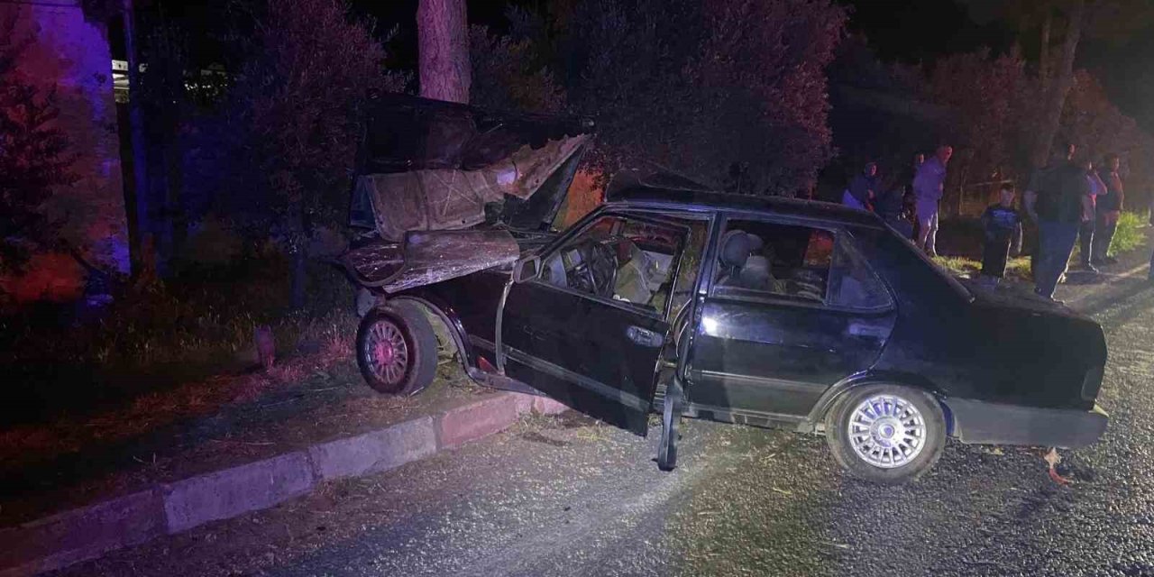 Sokak köpeğinden kaçmak isteyen otomobil ağaca çarptı: 1’i ağır 2 yaralı