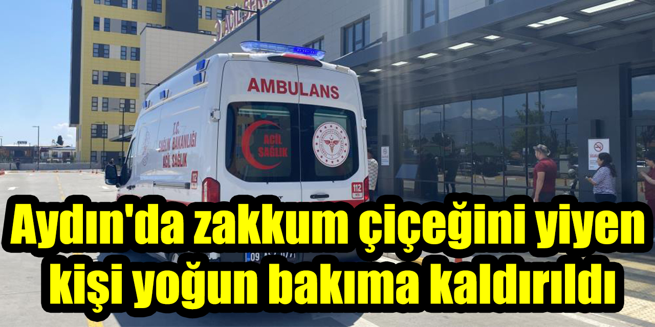 Aydın'da zakkum çiçeğini yiyen kişi yoğun bakıma kaldırıldı
