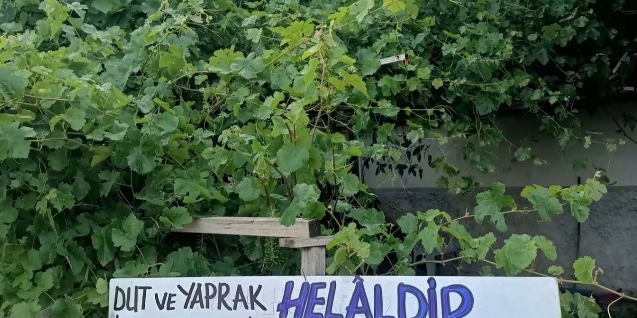 Eski belediye başkanından örnek davranış