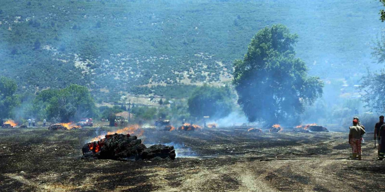 Tonlarca saman balyası yandı