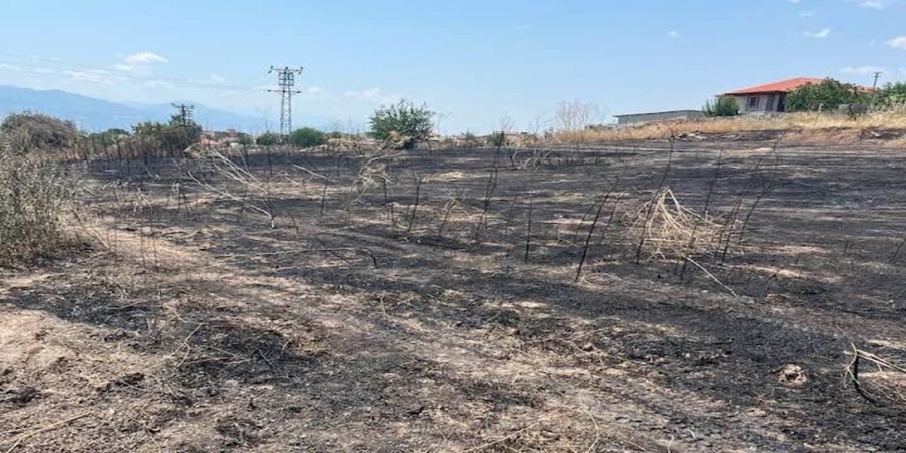 Otluk alanda çıkan yangın büyümeden söndürüldü
