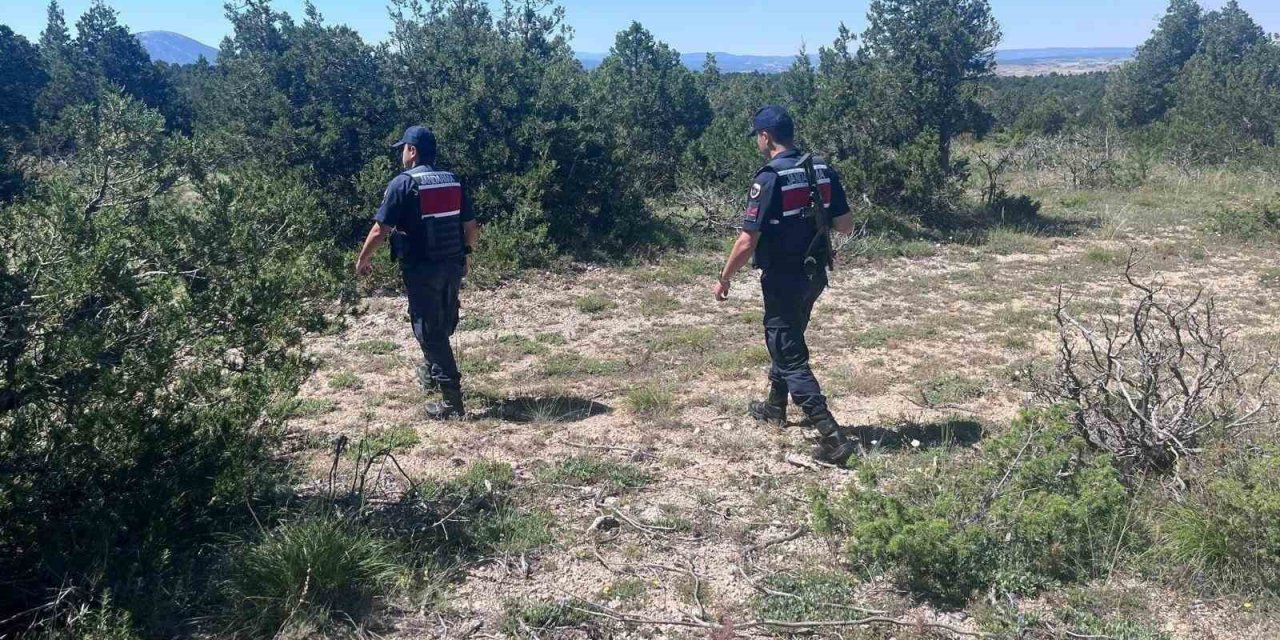 Kütahya’da orman yangınlarına karşı jandarma teyakkuza geçti