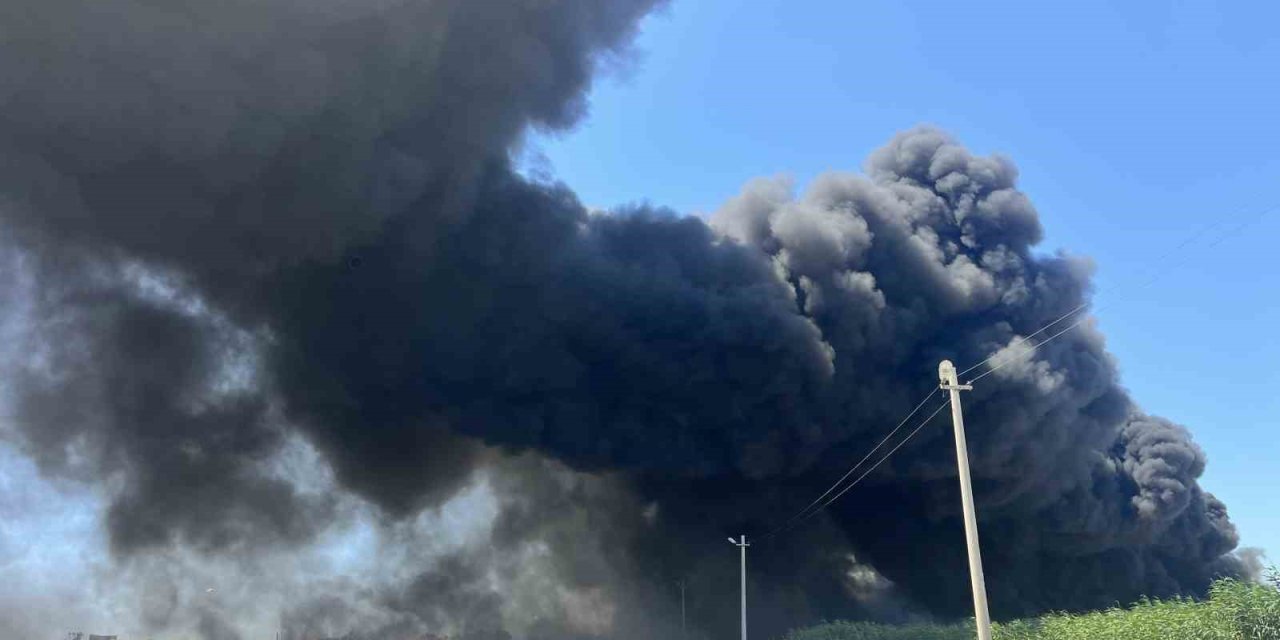 İzmir’de geri dönüşüm fabrikasında korkutan yangın