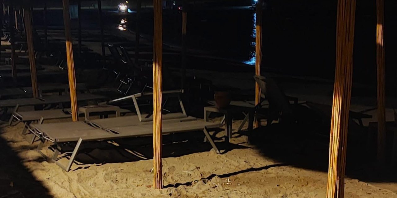 Aydın’ın Kuşadası ve Didim kıyılarında caretta hareketliliği