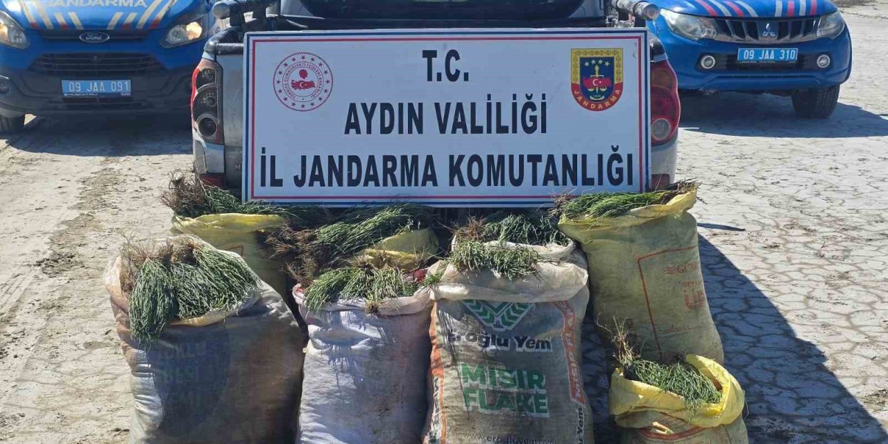 Doğal koruma alanlarında izinsiz bitki toplayan 8 şüpheliye işlem yapıldı