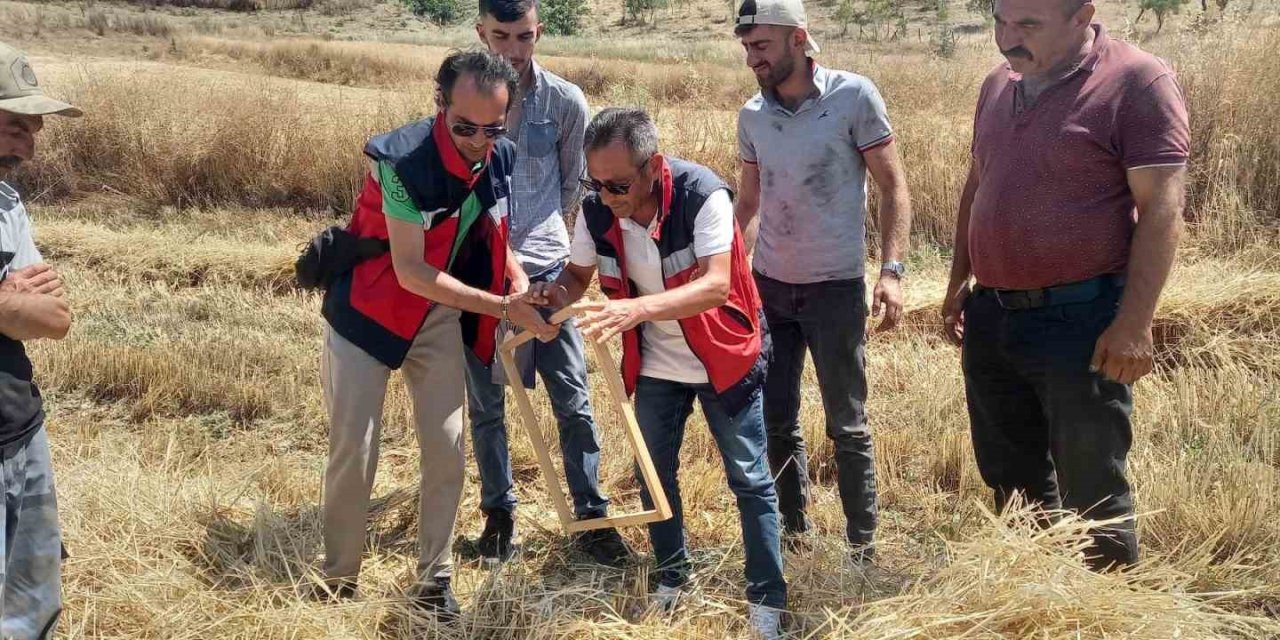 Tavşanlı’da biçerdöver kontrolleri sürüyor