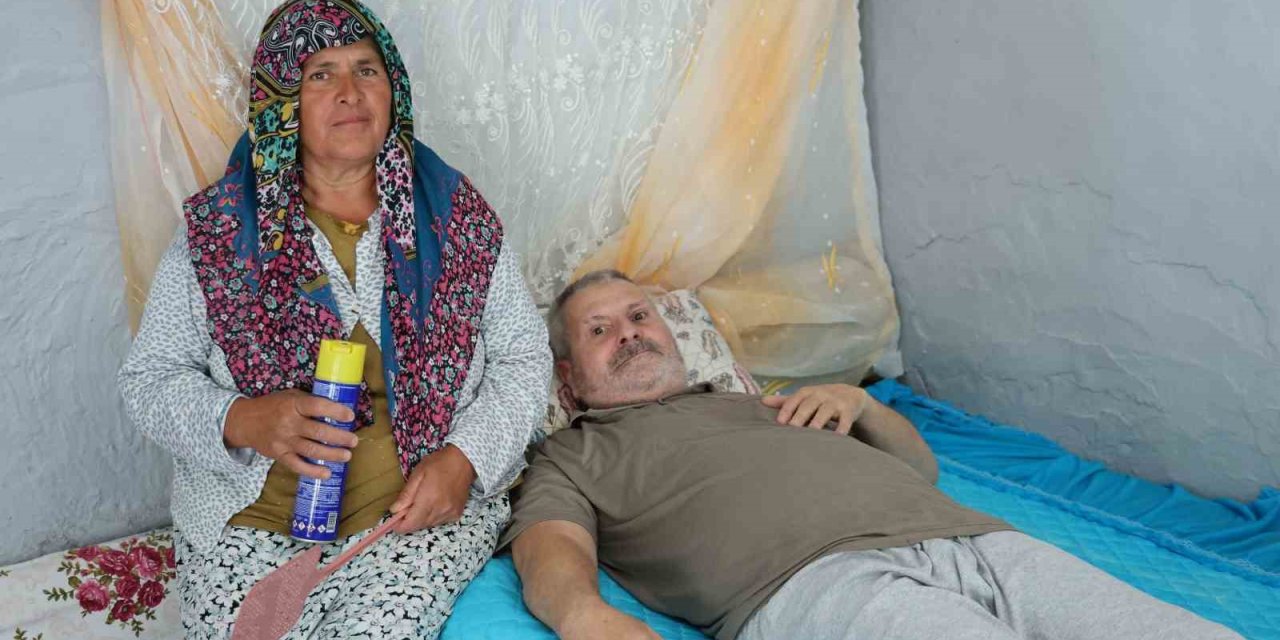 Felçli eşinin rahat etmesi için başında sinek nöbeti tutuyor