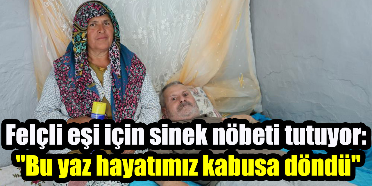 Felçli eşi için sinek nöbeti tutuyor: "Bu yaz hayatımız kabusa döndü"