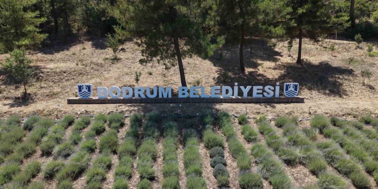 2026 Yılı Gençlik Tarım Kamplarının ilki başladı