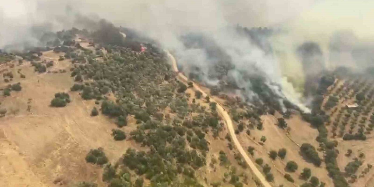 Bozdoğan’da söndürme çalışmaları sürüyor, hava gücü artırıldı