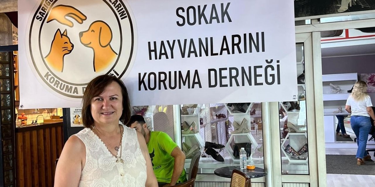 Sarıgöl’de sahipsiz hayvanlara umut oluyorlar