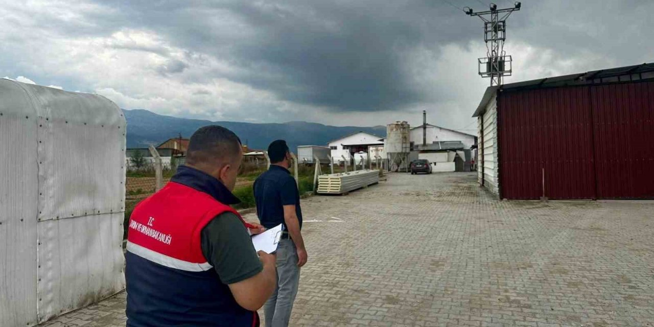 Kanatlı hayvan işletmelerine yönelik denetim